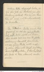 Seite 32, Tagebuch "Hallstatt" (NHMW-PRAE-BBB-90)